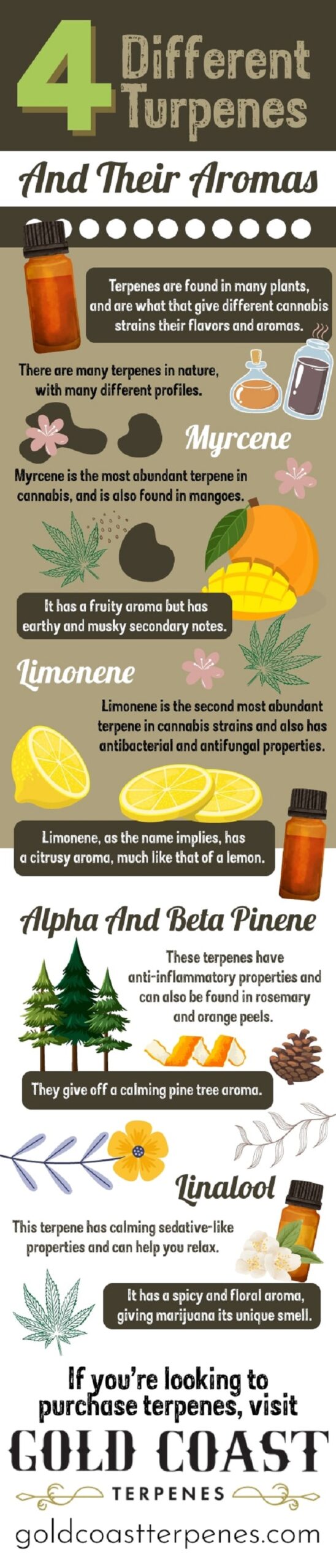 4 Different Terpenes and Their Aromas