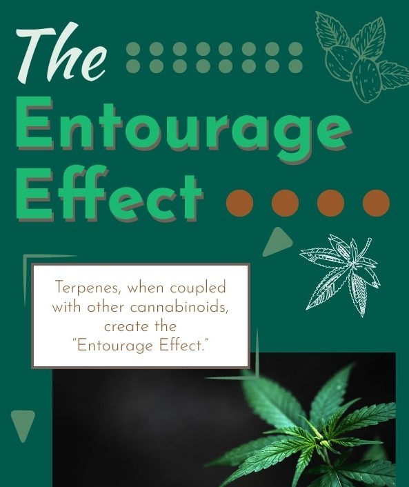 The entourage effect