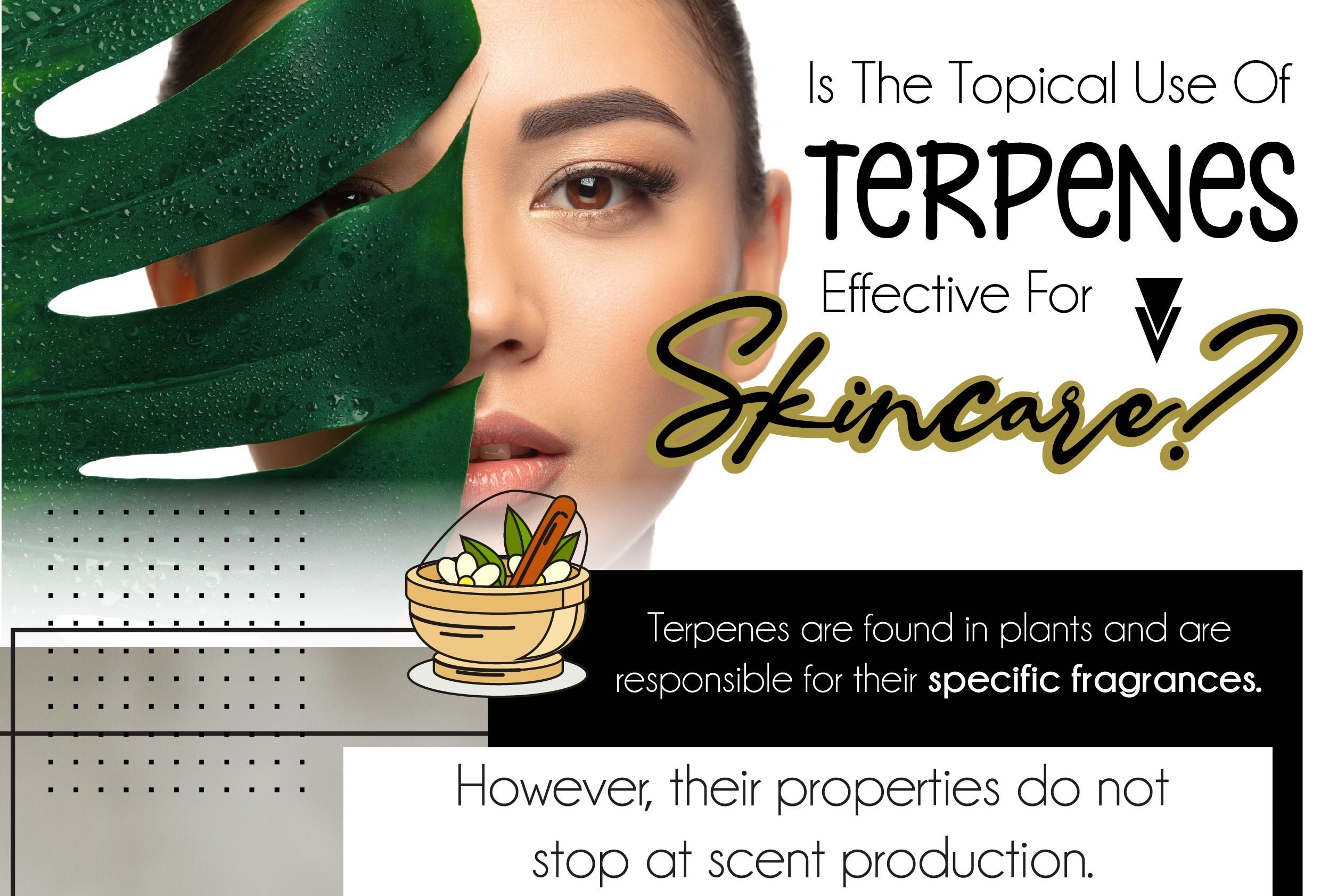 Is the topical use of terpenes effective for skincare