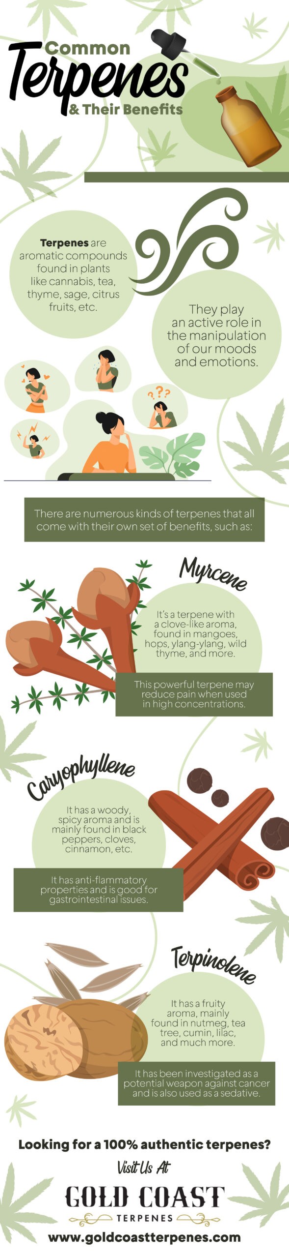 Common Terpenes & Their Benefits