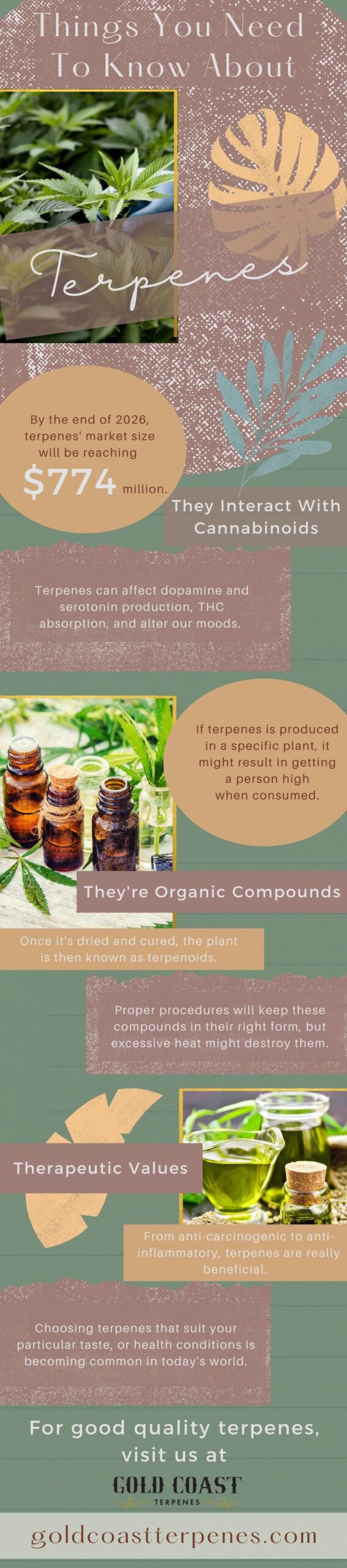 Things You Need To Know About Terpenes