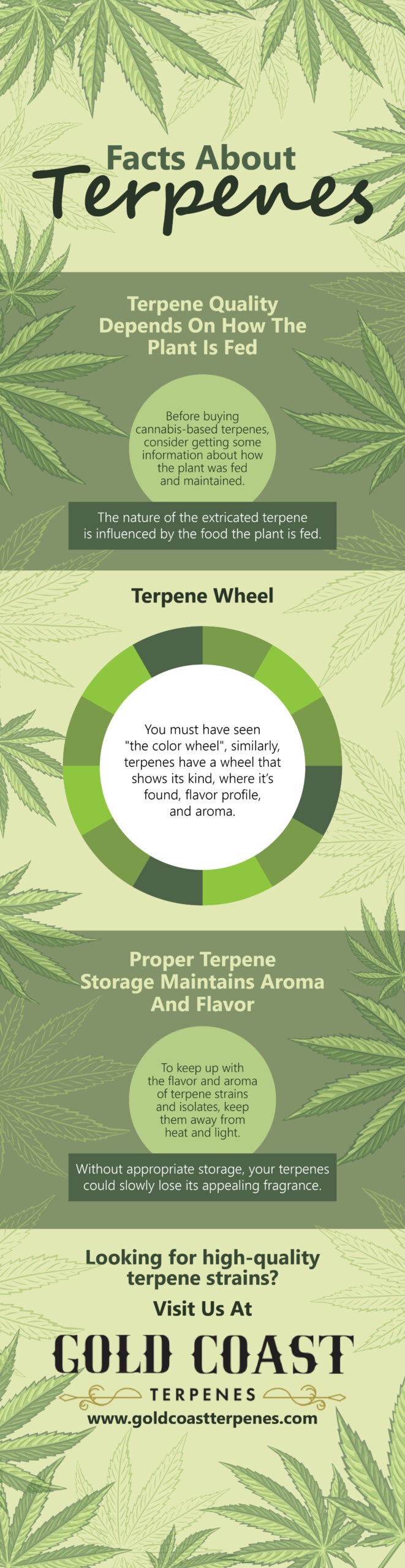 Facts about terpenes - Infograph