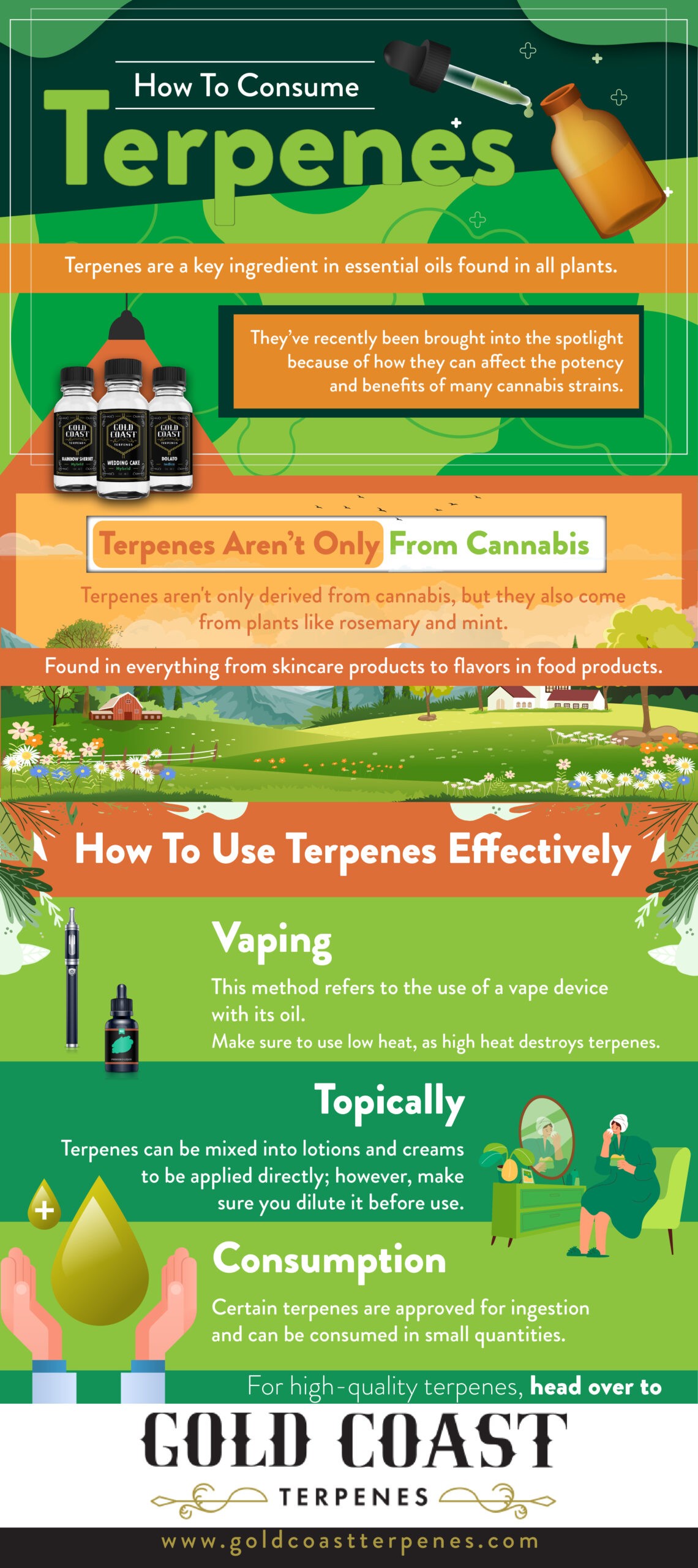 How to consume terpenes - Infograph