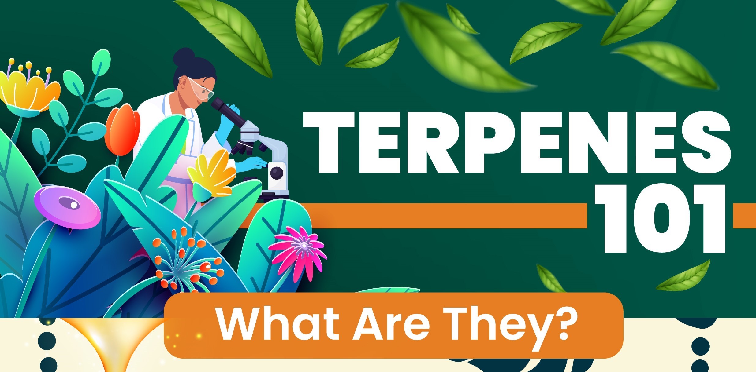 Terpenes 101 - Infograph