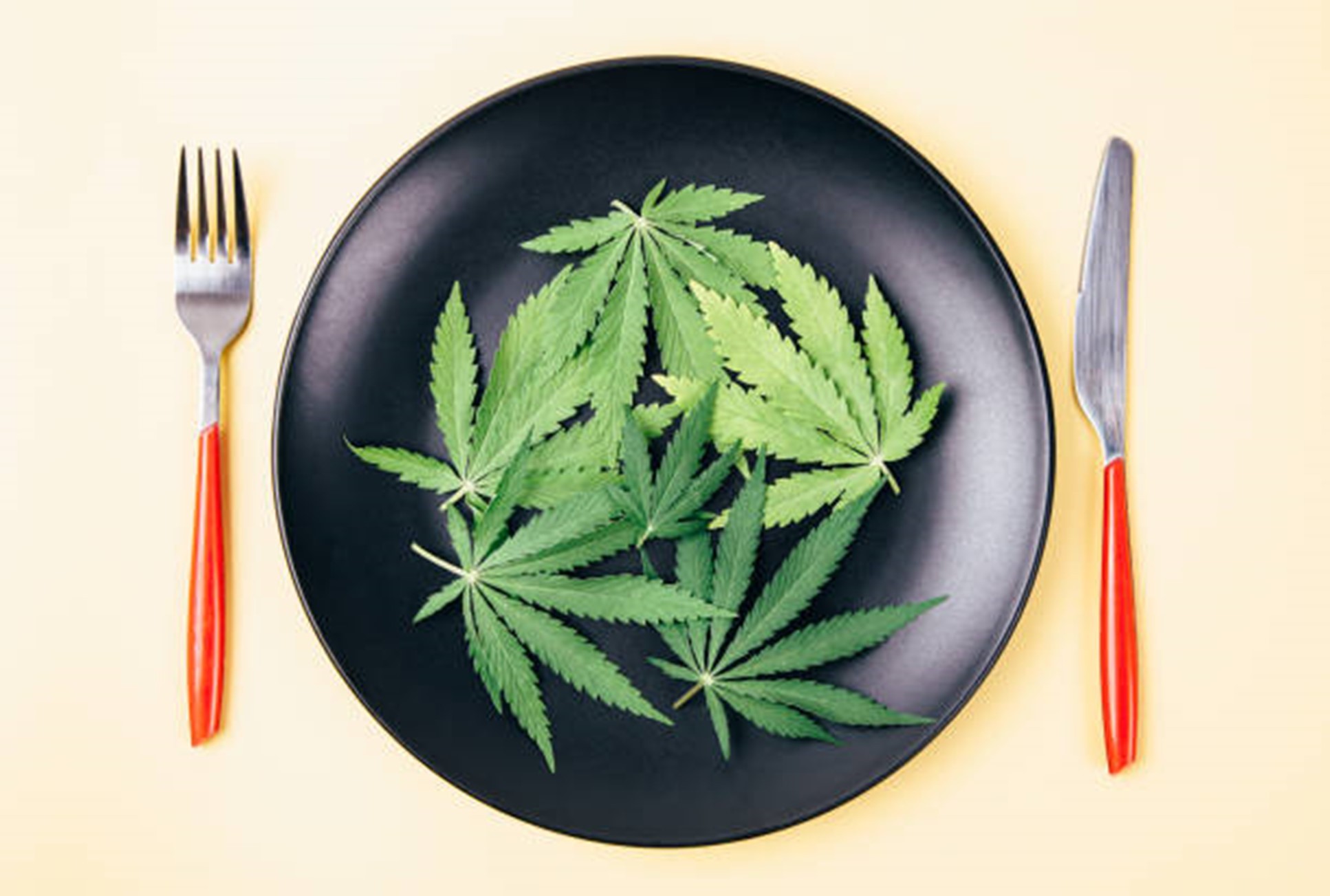 A plant containing terpenes placed on a black plate with a fork and knife on each side of the plate