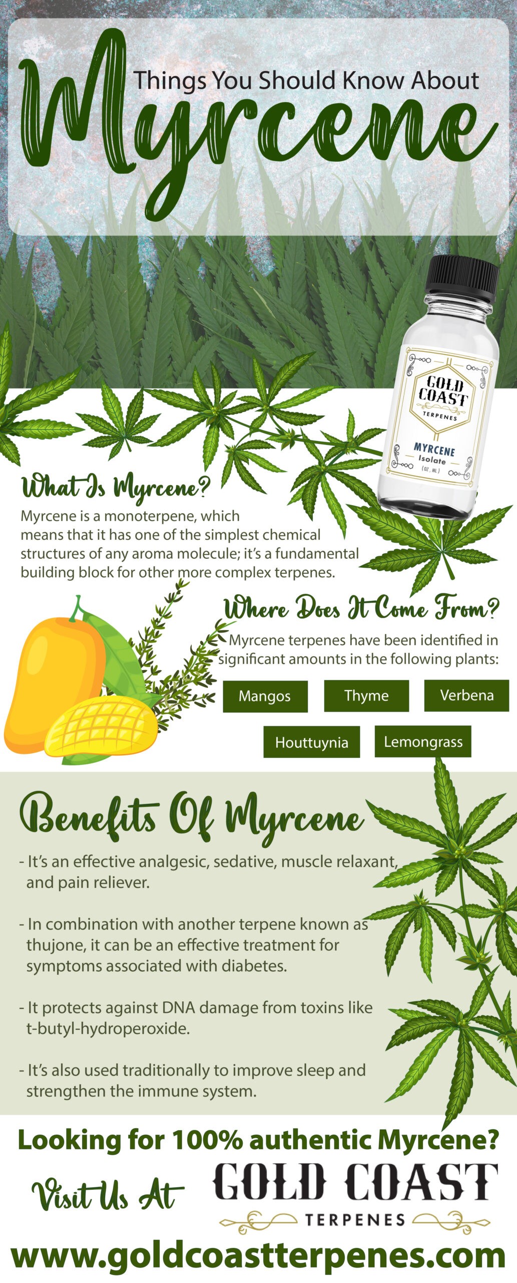 Things You Should Know About Myrcene