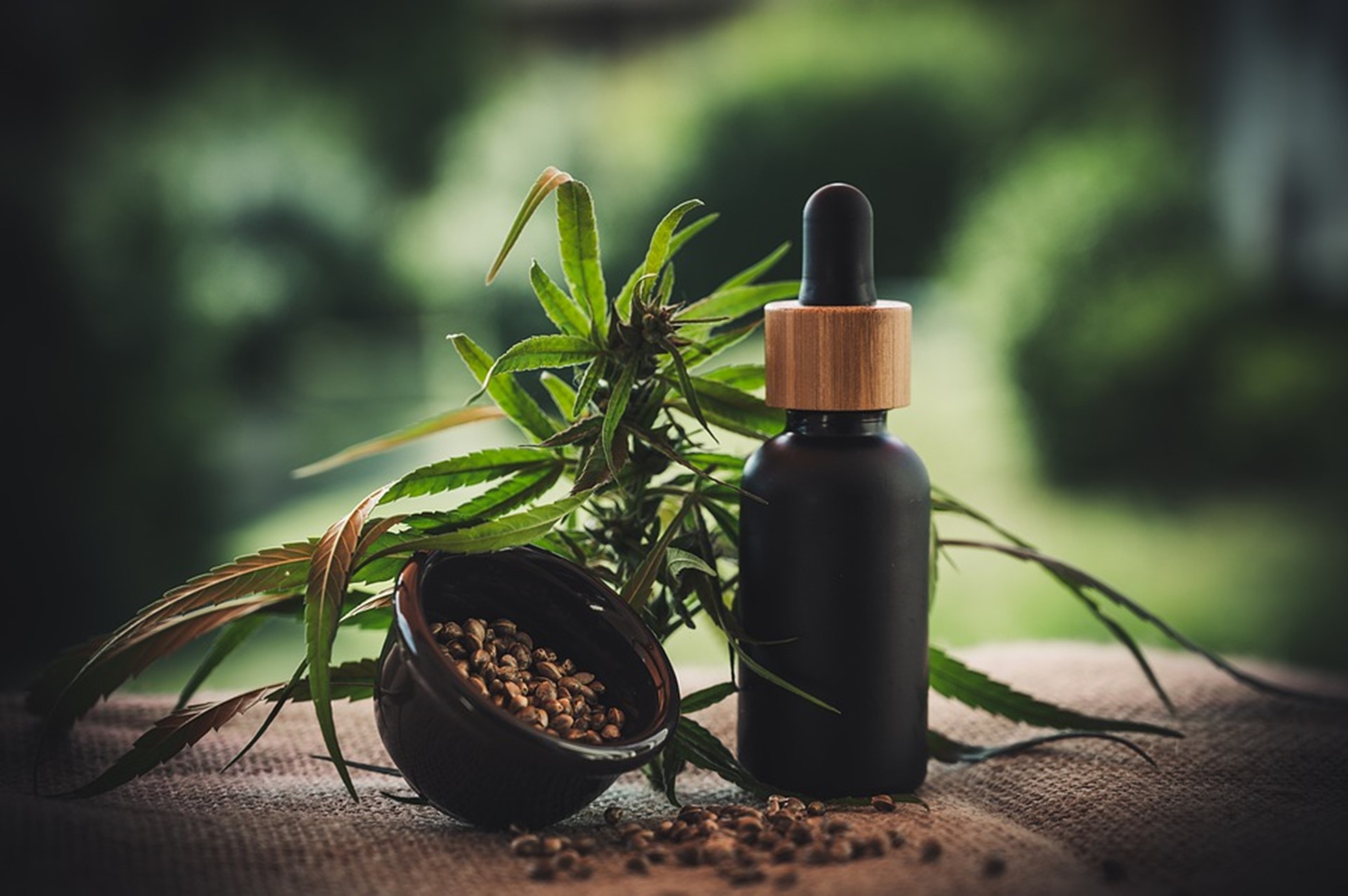 Cannabis and its products
