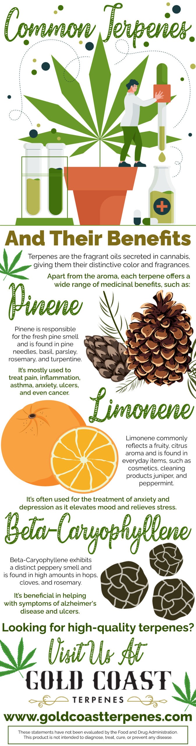 Common terpenes and their benefits - Infograph