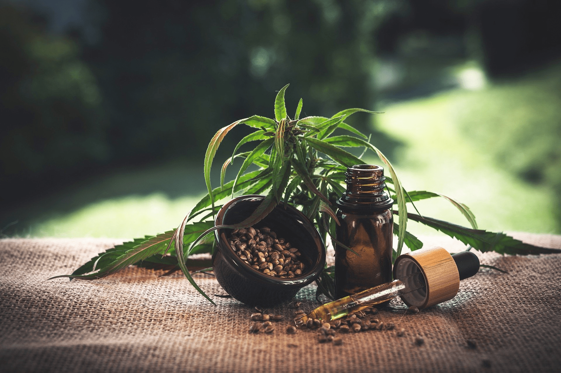 Natural terpene oil surrounded by plants and seeds