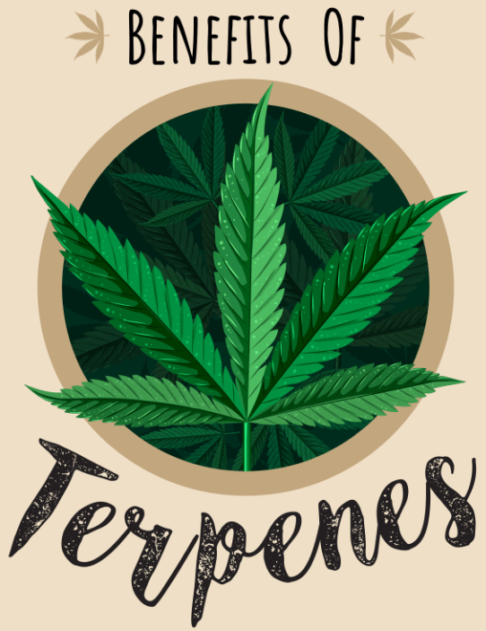 Benefits of Terpenes - Infograph