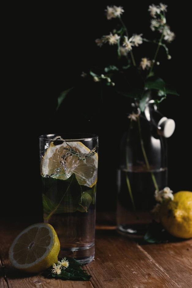 A clear glass with lemon slices, clear liquid, and lemongrass