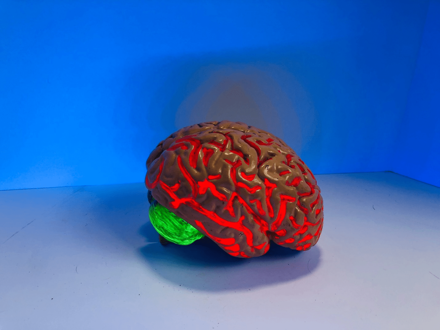 Red and Green Brain Figurine