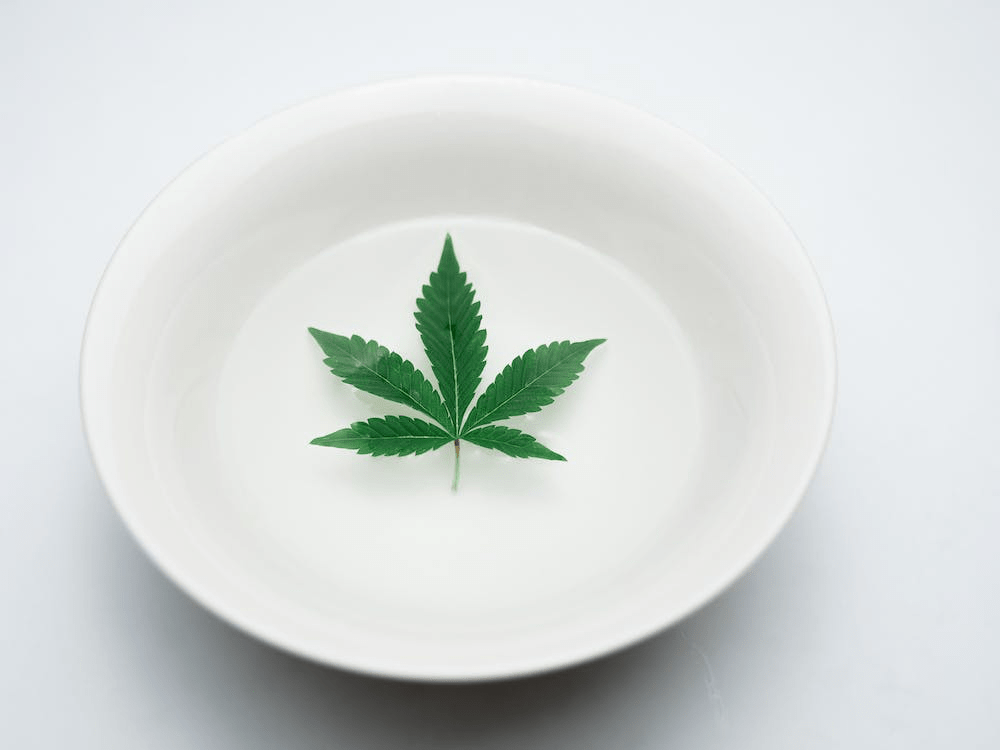 A cannabis leaf