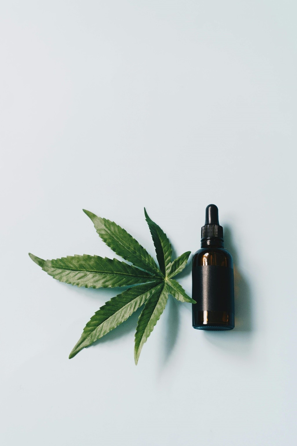 A leaf with a cannabis strain serum bottle on a white surface