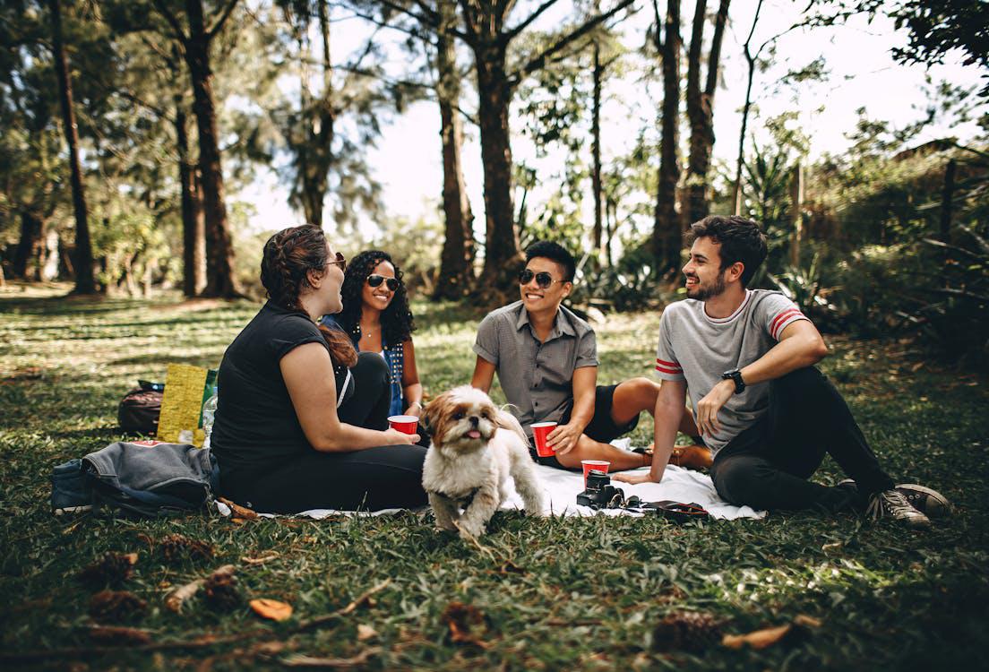 A picnic