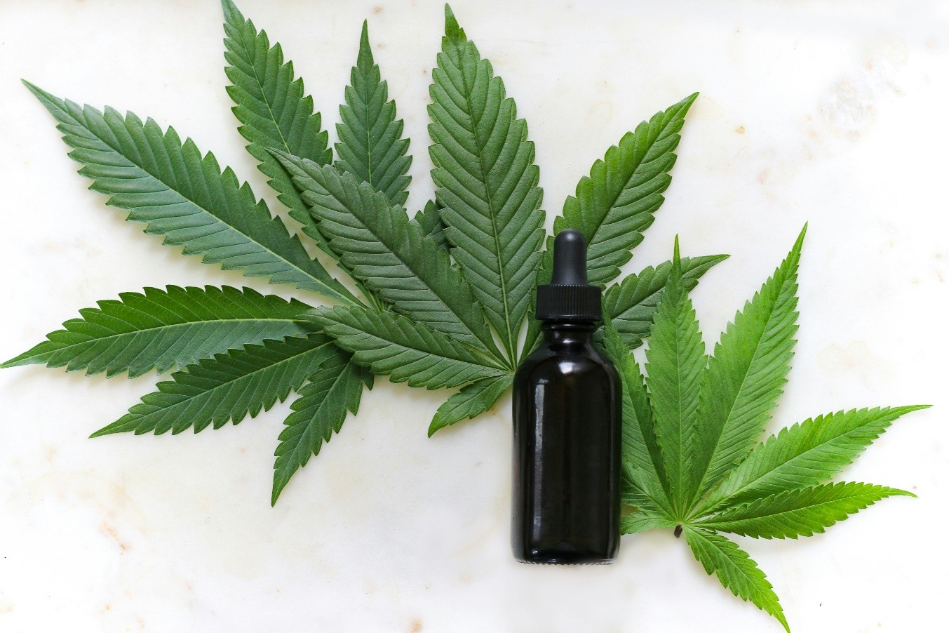 Green leaves with a bottle