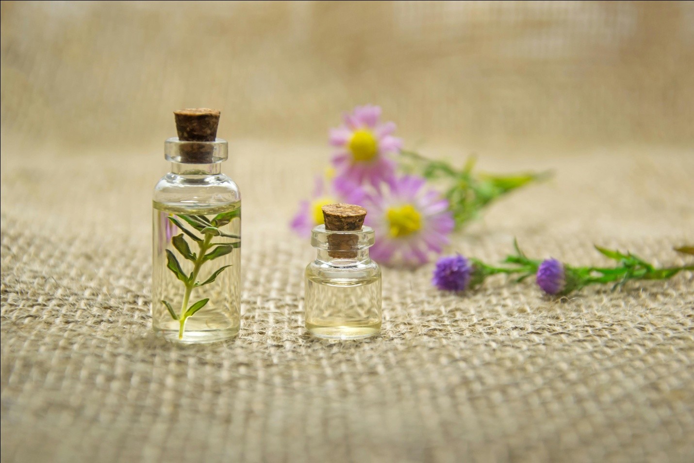 two clear glass bottles with liquid