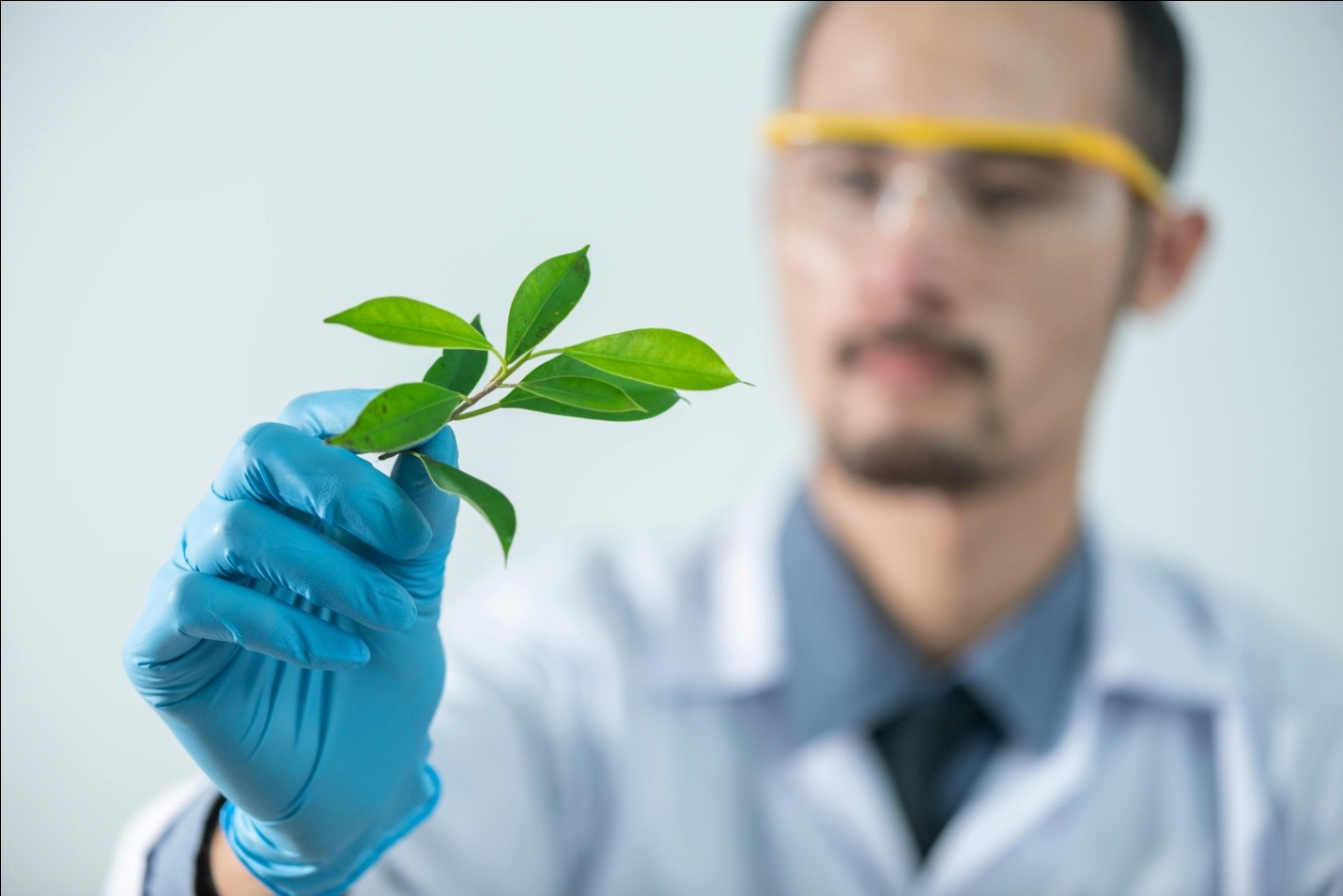a person holding a plant