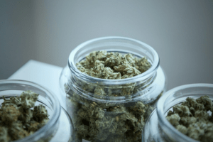 An image of jars filled with green materials 