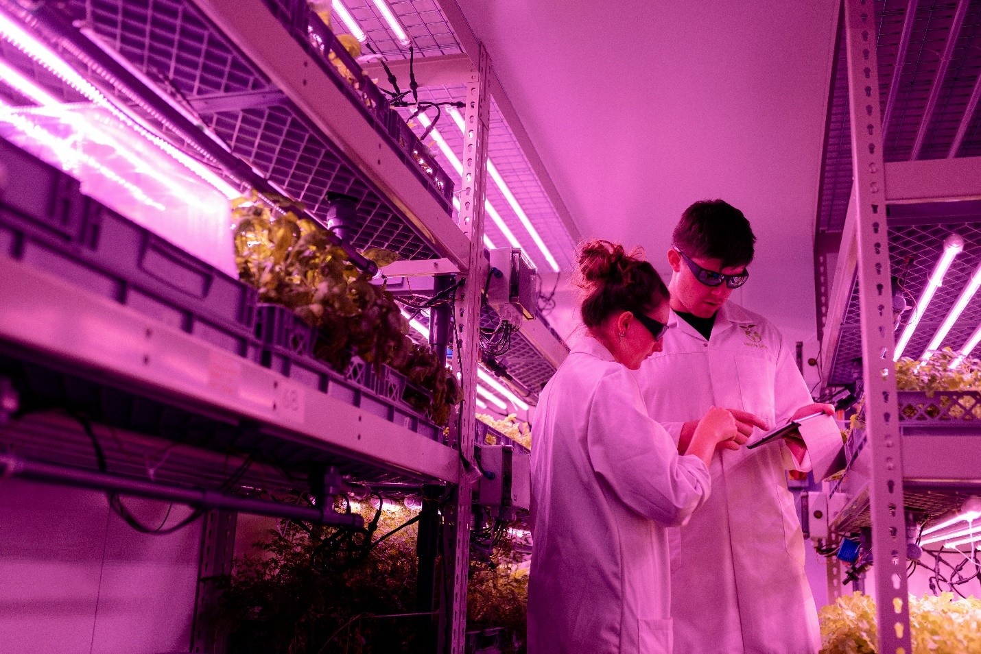 two people in white lab coats standing in an indoor farm