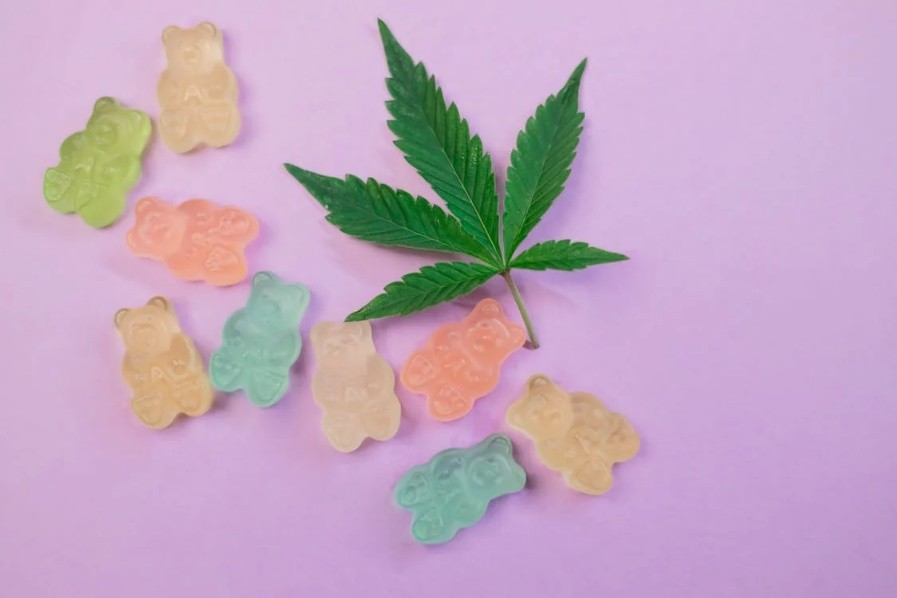 An image of a cannabis plant and gummy teddy bears     