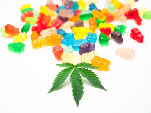 A vibrant cannabis plant beside colorful gummy candies, symbolizing the interplay of terpenes and flavors inspired by the Zkittlez effect.