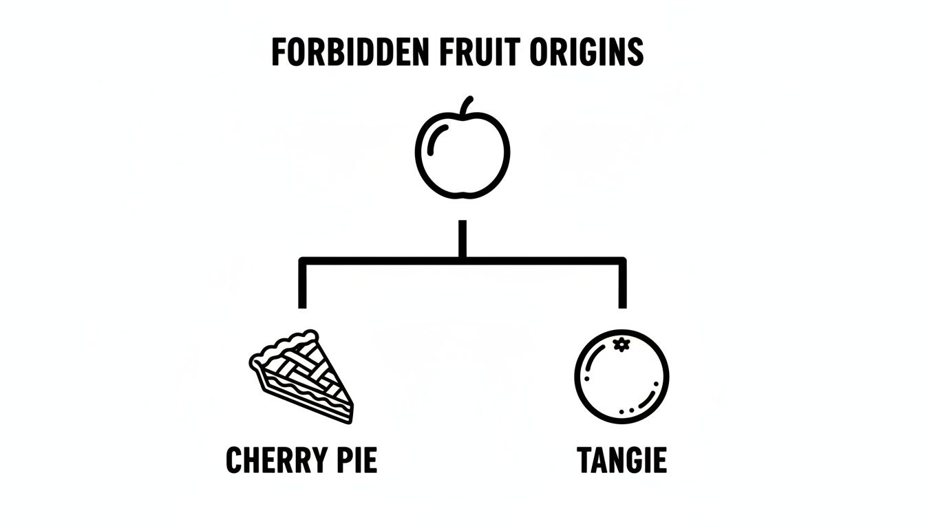 A diagram titled 'Forbidden Fruit Origins' showing an apple icon branching to cherry pie and Tangie.