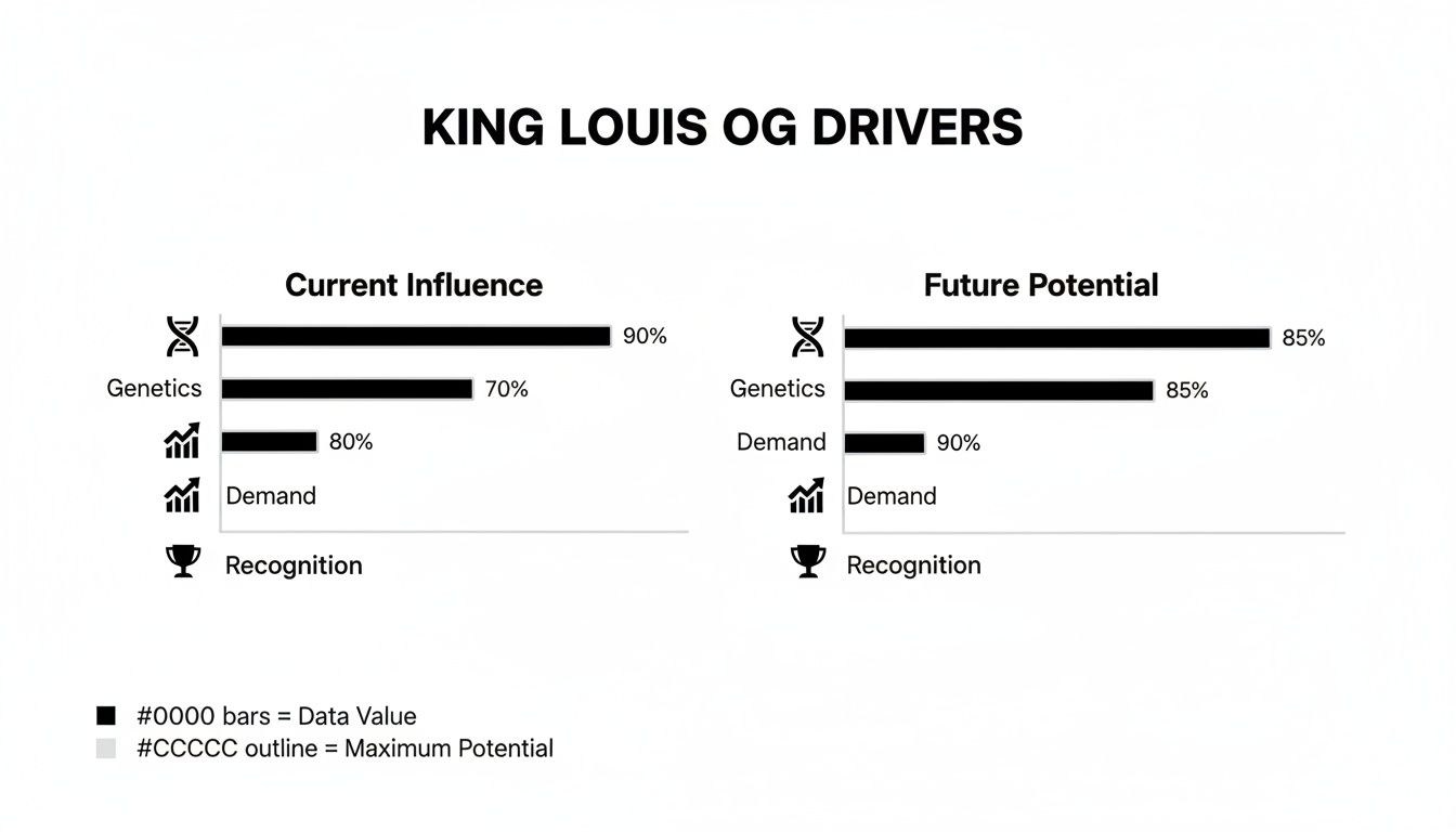 Bar chart comparing King Louis OG strain drivers' current influence and future potential for genetics and demand.