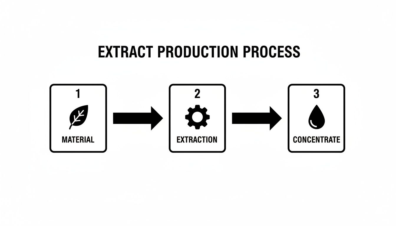 Diagram illustrating the three-step extract production process: material, extraction, and concentrate.