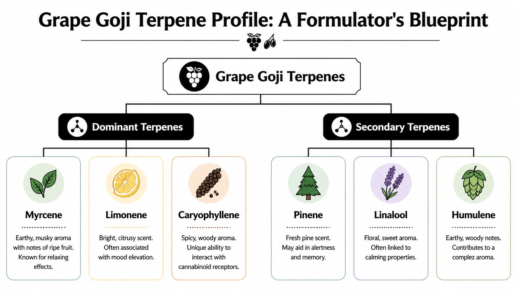 A diagram illustrating the dominant and secondary terpene profile of the Grape Goji cannabis strain.