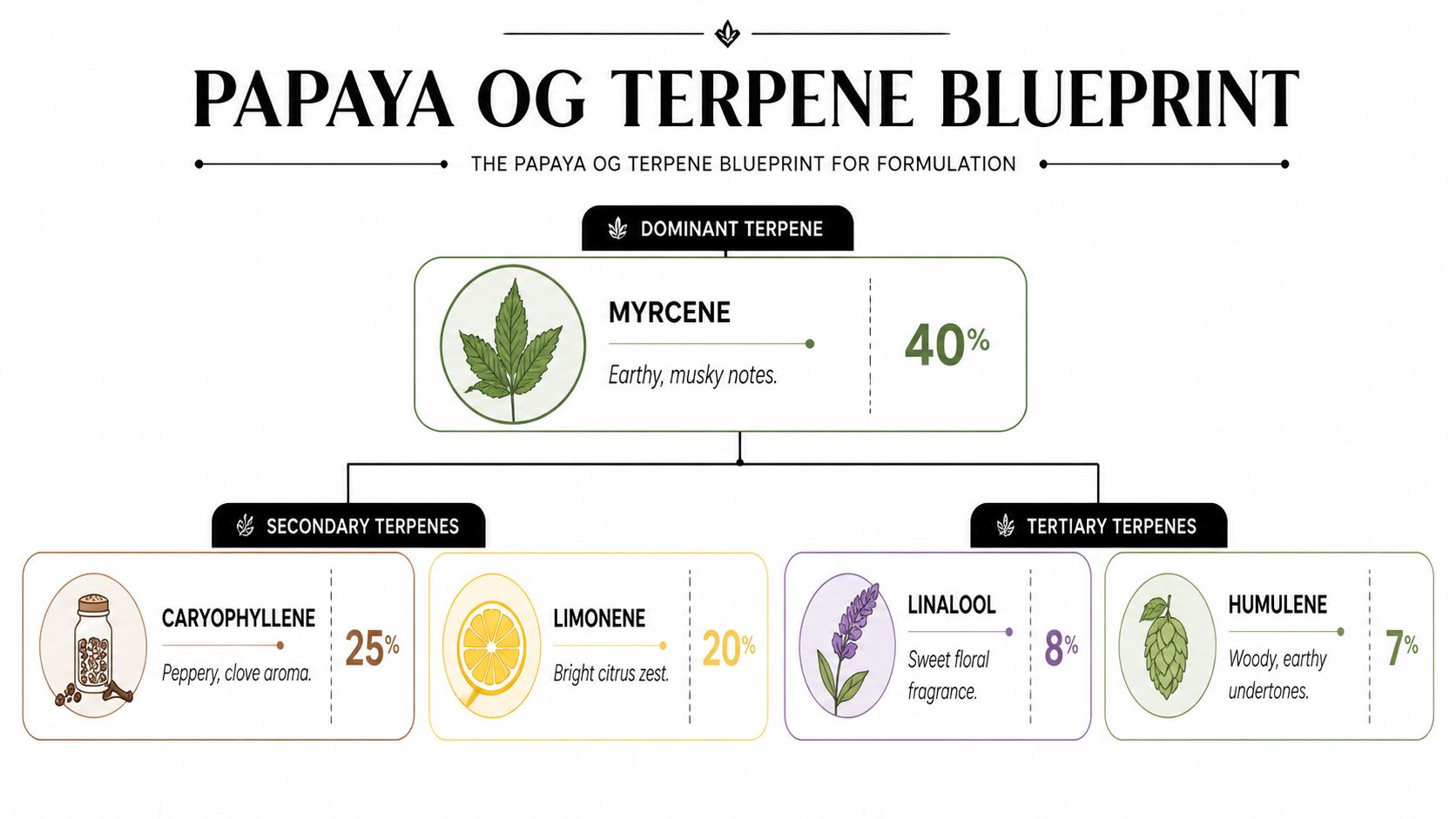 A visual breakdown chart of the terpene profile for the Papaya OG cannabis strain.