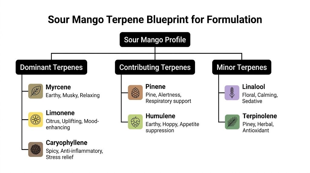 A diagram outlining the terpene profile for the Sour Mango cannabis strain, categorized by dominance.