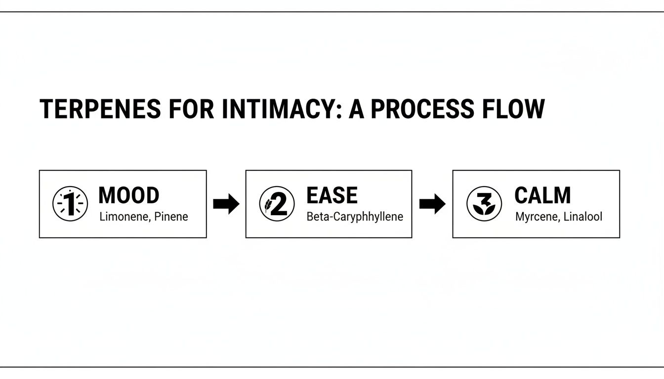 Flowchart showing terpenes for intimacy process: Mood (Limonene, Pinene), Ease (Beta-Caryophyllene), and Calm (Myrcene, Linalool).