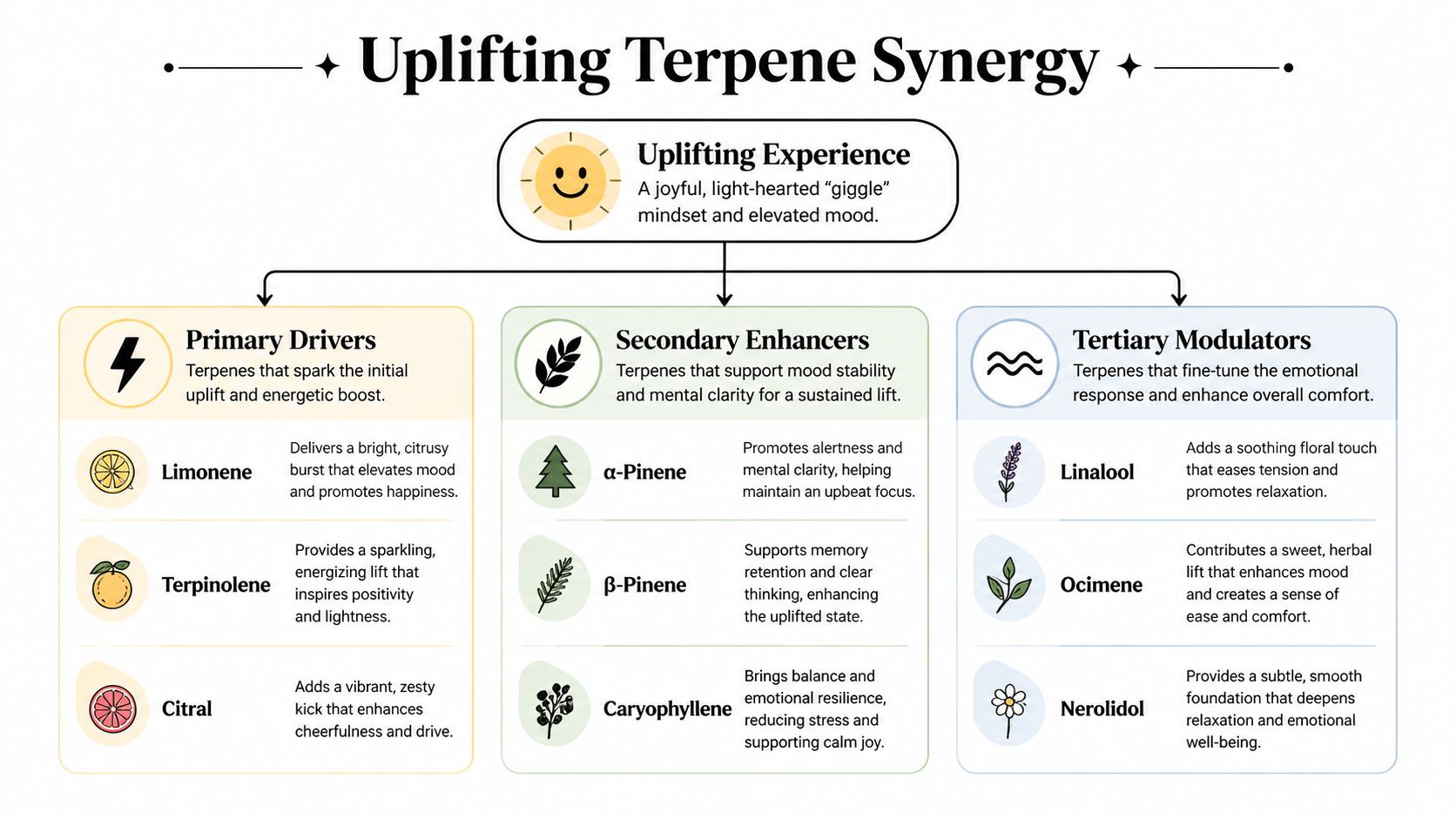 An infographic titled Uplifting Terpene Synergy showing categories of terpenes that improve mood and energy levels.