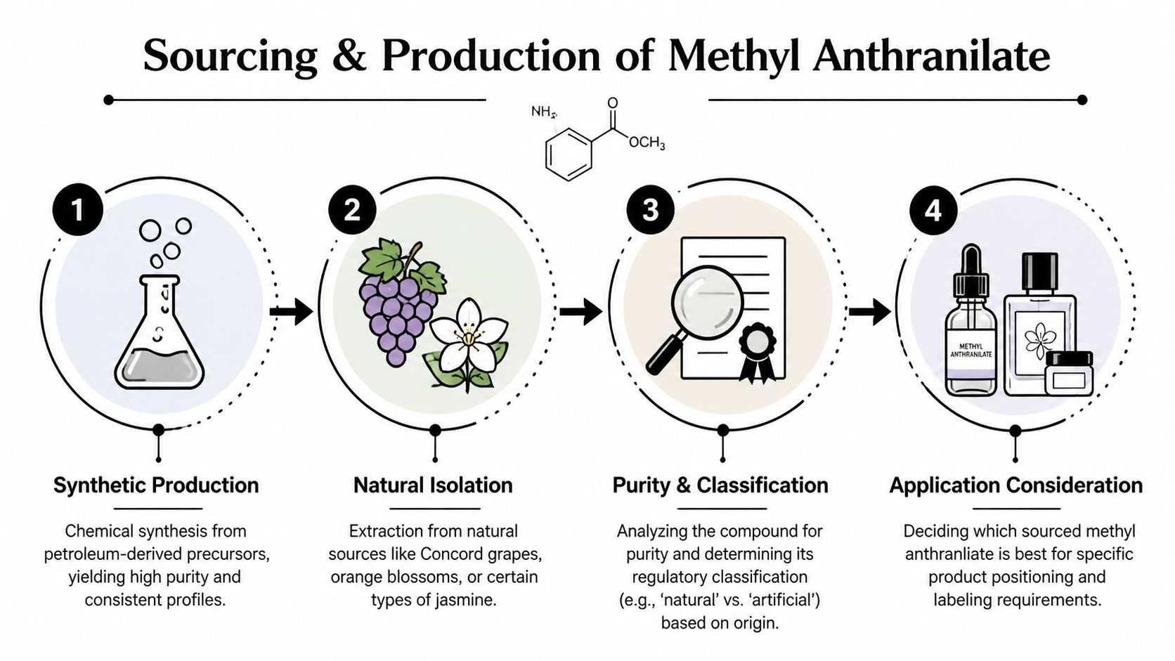 An infographic detailing the synthetic production and natural isolation processes for sourcing methyl anthranilate in industrial applications.