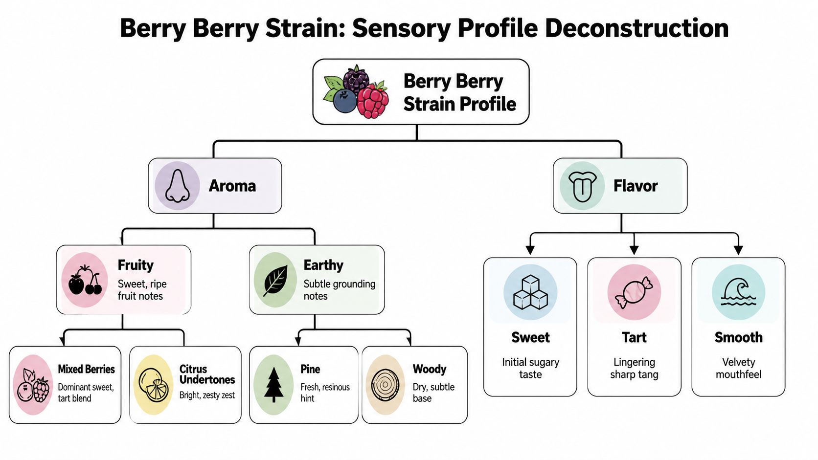 A diagram outlining the Berry Berry strain sensory profile including aroma and flavor notes with icons.