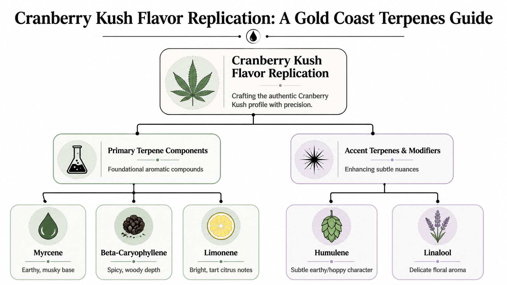 A diagram outlining the primary and accent terpenes needed to replicate the cranberry kush flavor profile.