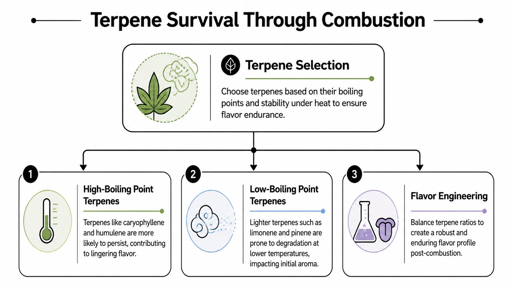An infographic titled Terpene Survival Through Combustion explaining how to manage terpene stability during the smoking process.