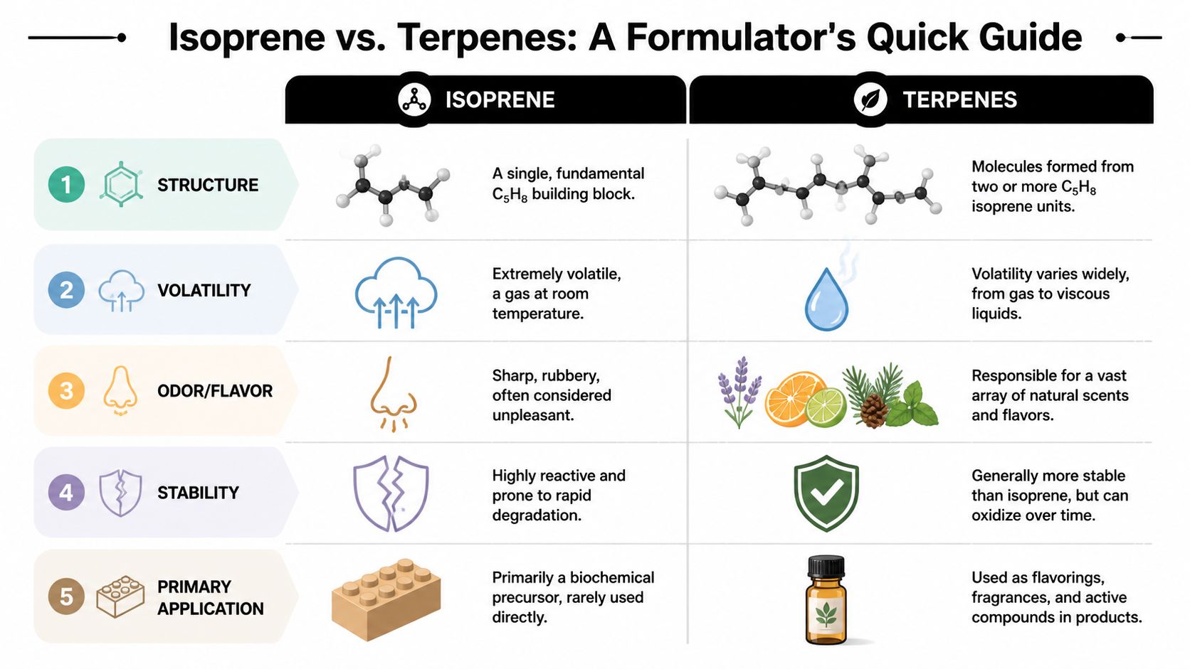 A comparison chart outlining the key differences between isoprene molecules and terpenes across five distinct categories.