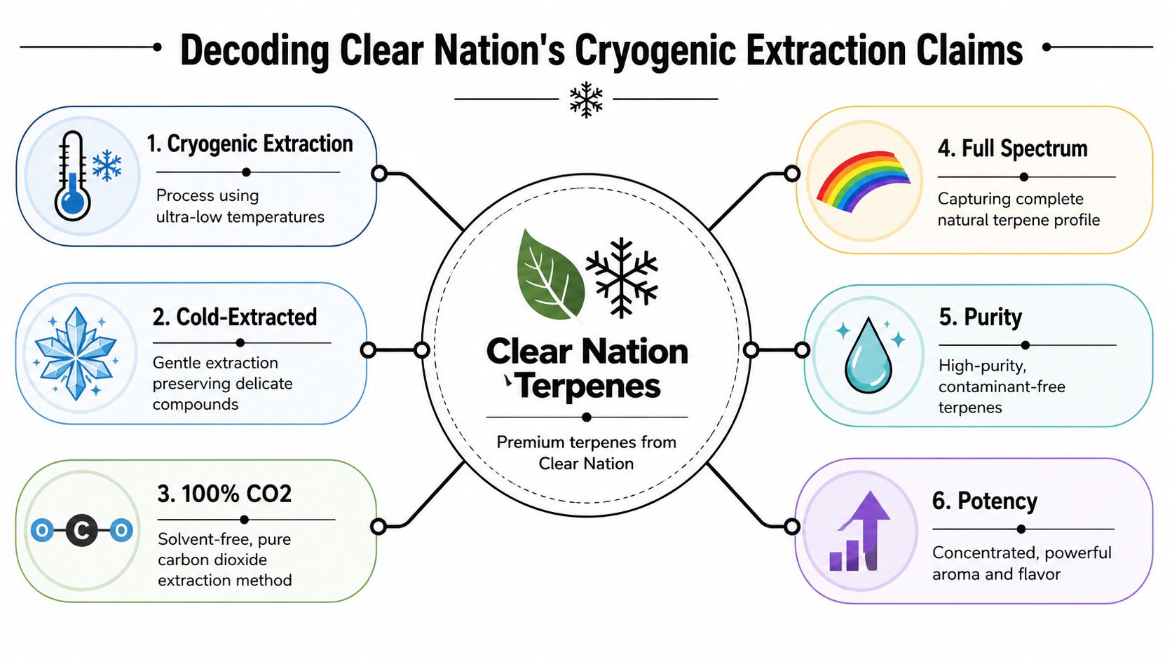 An infographic detailing Clear Nation's six-step cryogenic extraction process for producing high-quality, pure terpene extracts.