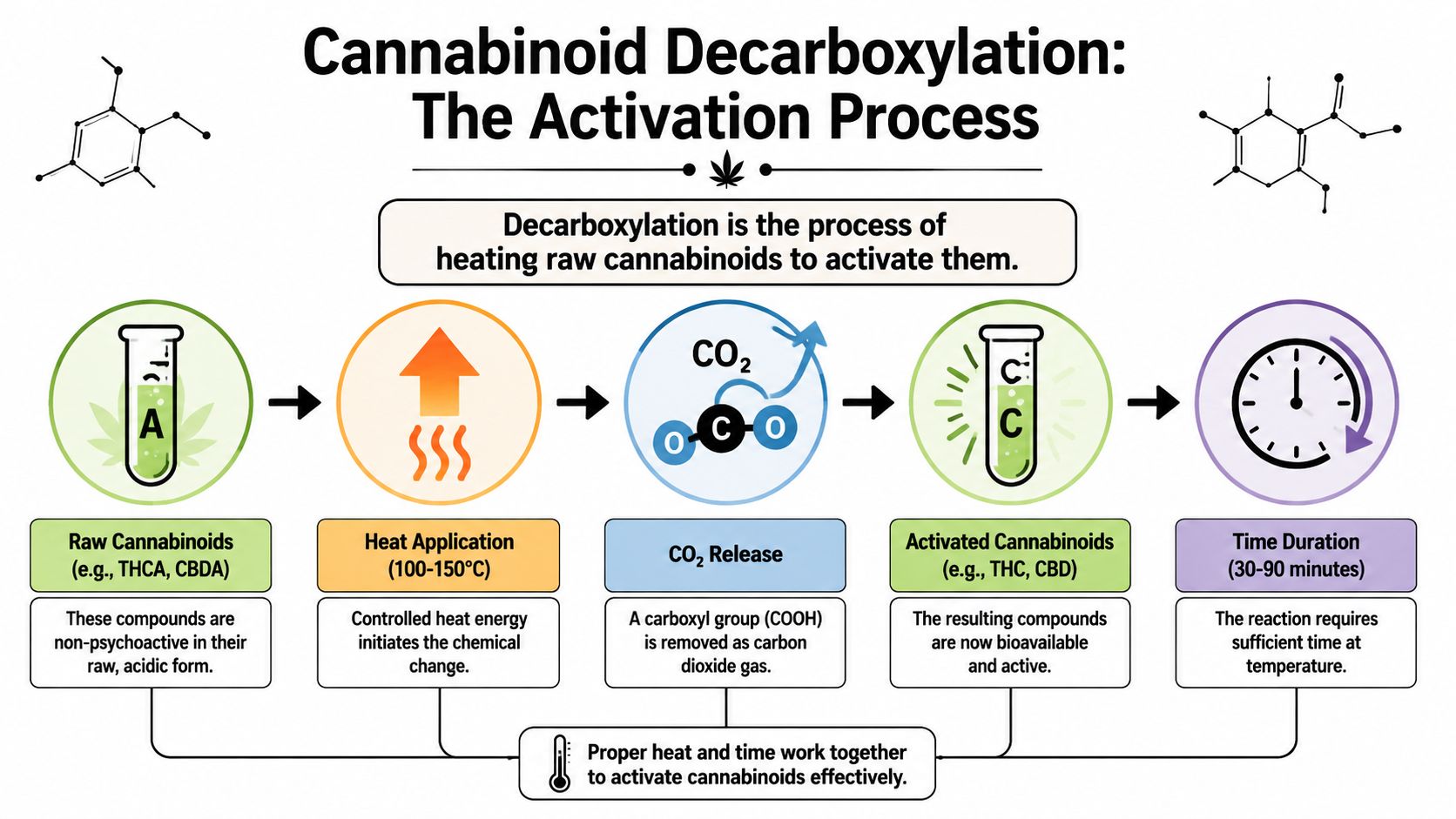 A diagram explaining the cannabinoid decarboxylation process, showing how raw cannabinoids are activated using heat and time.