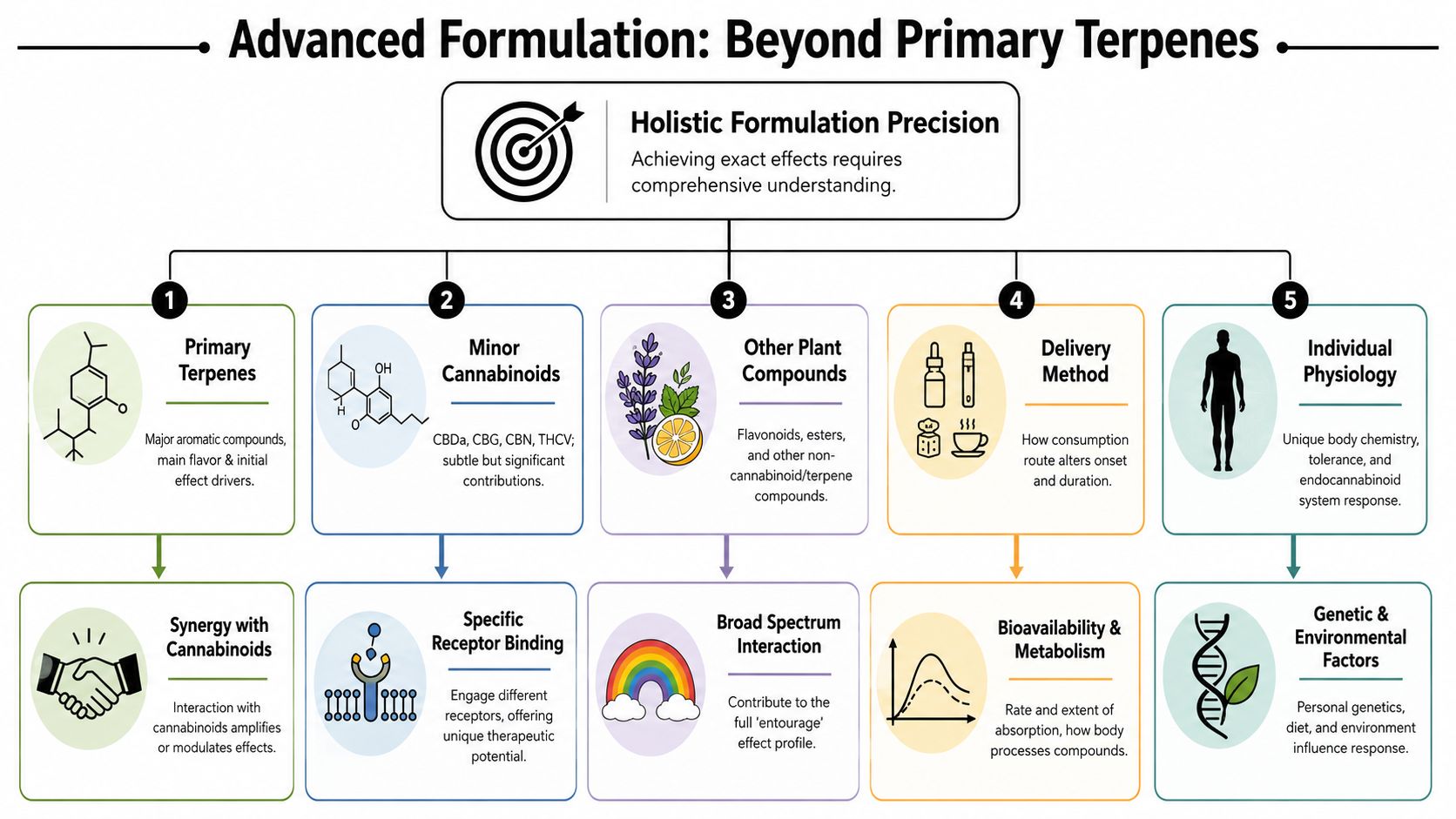 A diagram explaining factors beyond primary terpenes that influence the effects of cannabis formulations.