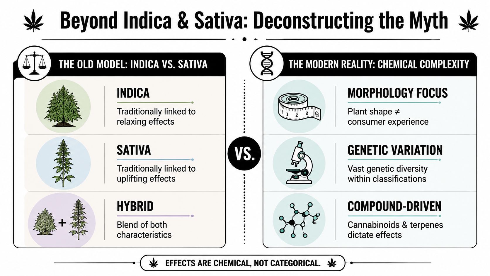 An infographic comparing traditional cannabis classification to the modern understanding of chemical complexity and cannabinoid profiles.