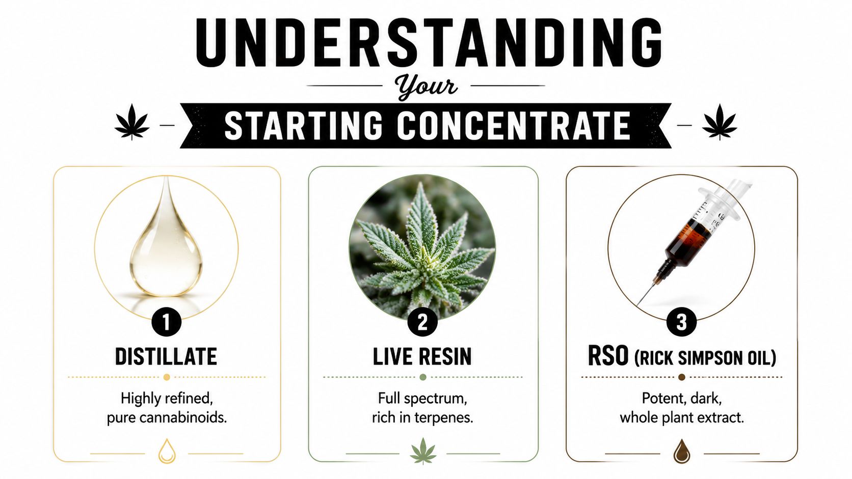 An infographic titled Understanding Your Starting Concentrate, featuring numbered labels for Distillate, Live Resin, and RSO oil.