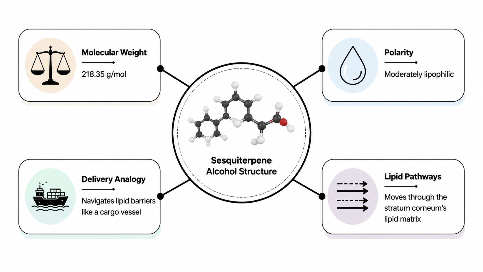 An infographic showing the chemical and delivery properties of sesquiterpene alcohol for skin care applications.