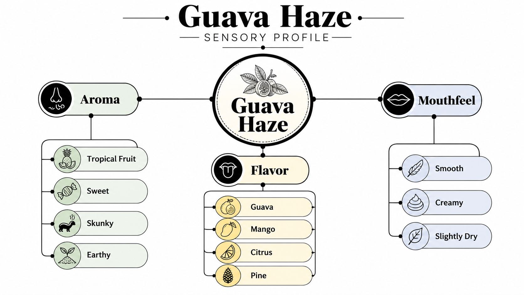 A sensory profile chart for the Guava Haze strain illustrating aroma, flavor, and mouthfeel characteristics.