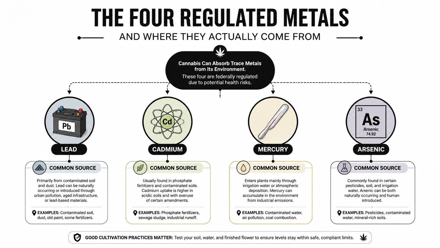 An infographic detailing the four federally regulated heavy metals found in cannabis and their common environmental sources.