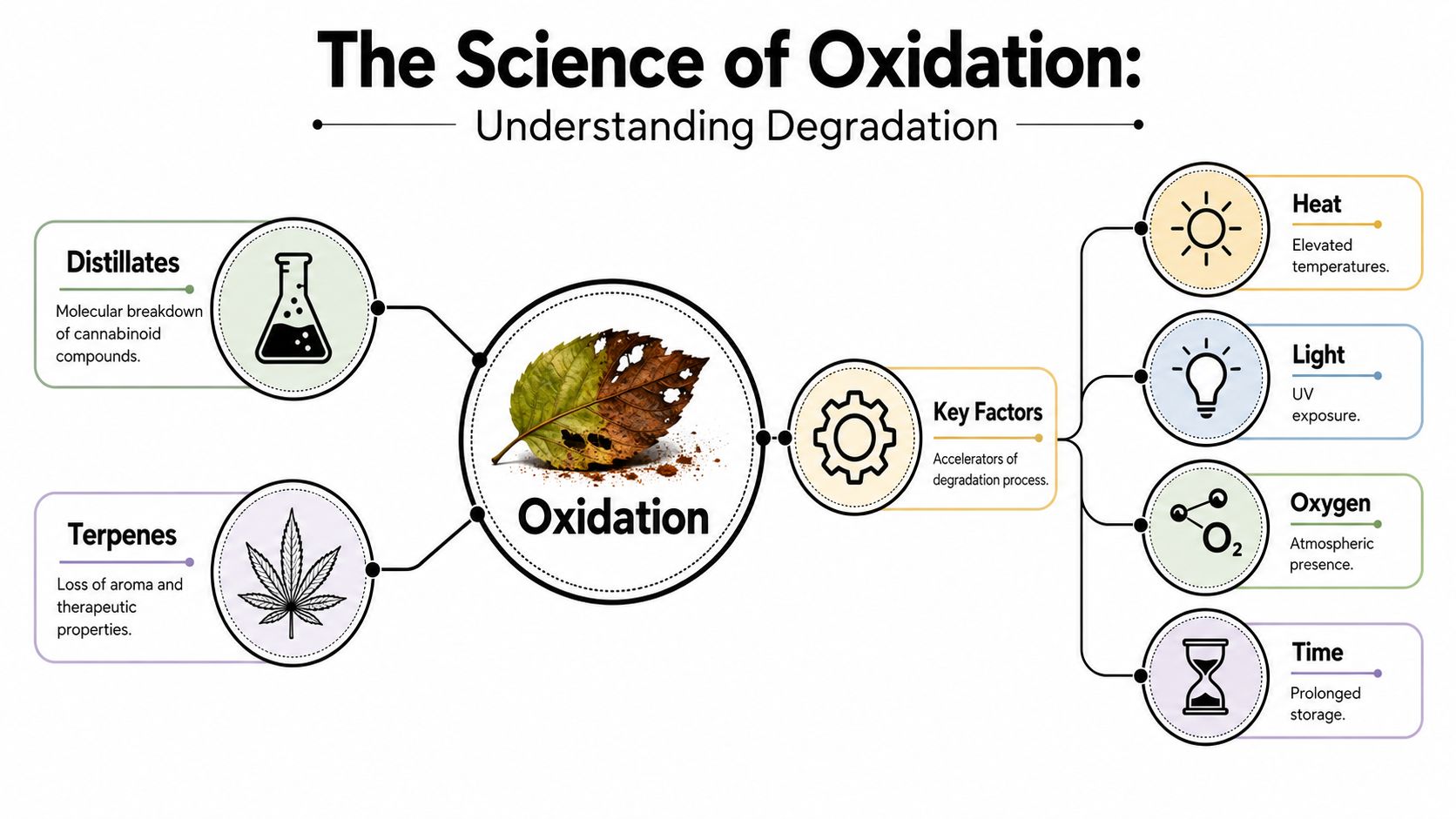 An infographic titled The Science of Oxidation illustrating causes like heat, light, oxygen, and time.