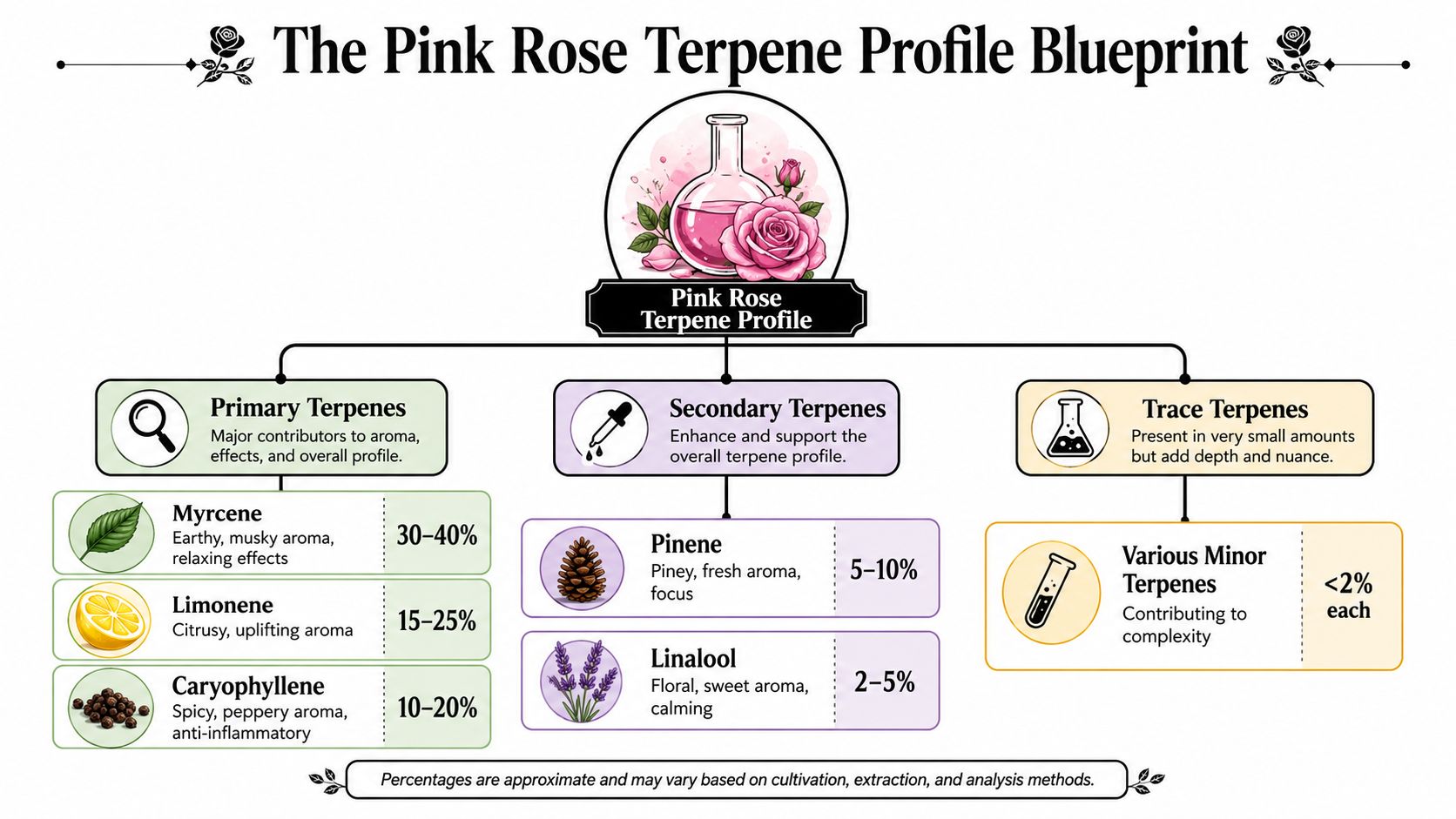 A detailed infographic titled The Pink Rose Terpene Profile Blueprint showing primary, secondary, and trace terpene percentages.