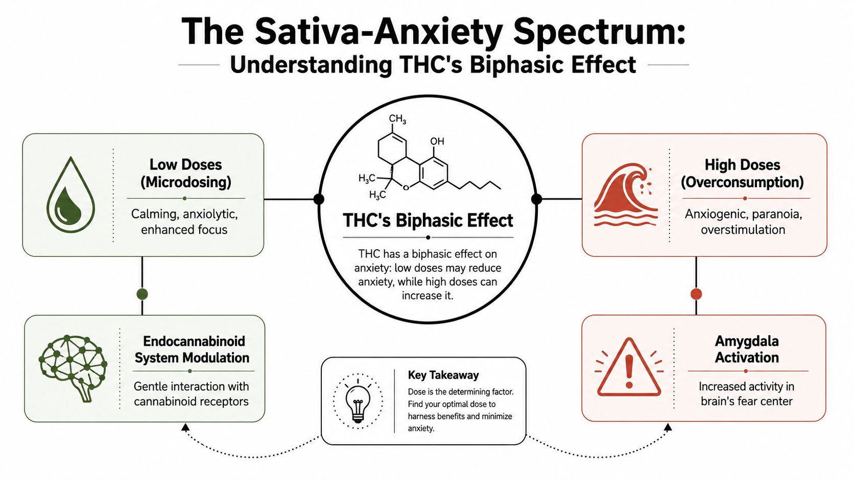 A diagram explaining the biphasic effect of THC on anxiety, contrasting low doses with high doses.